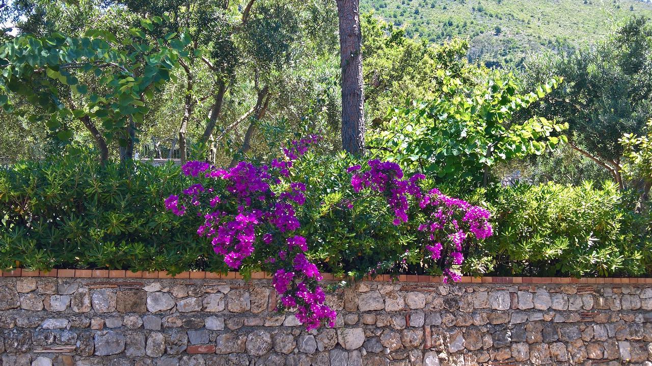 Hotel Cala Del Citro Maratea Exterior photo